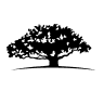 Chinese Yuan Strategy Wisdom Tree ETF logo