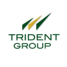 Trident Ltd Dividend