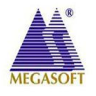 Megasoft Ltd