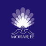 Morarjee Textiles Ltd Results