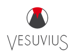 Vesuvius India Ltd (VESUVIUS)