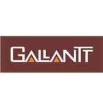 Gallantt Ispat Ltd