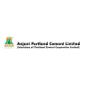 Anjani Portland Cement Ltd Results