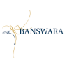 Banswara Syntex Ltd Results
