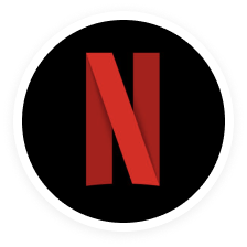 Netflix, Inc. stock icon