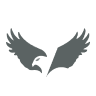 Eagle Pharmaceuticals Inc. logo