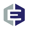 Everi Holdings Inc logo