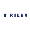 B. Riley Financial Inc
