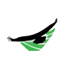 AgEagle Aerial Systems Inc. logo